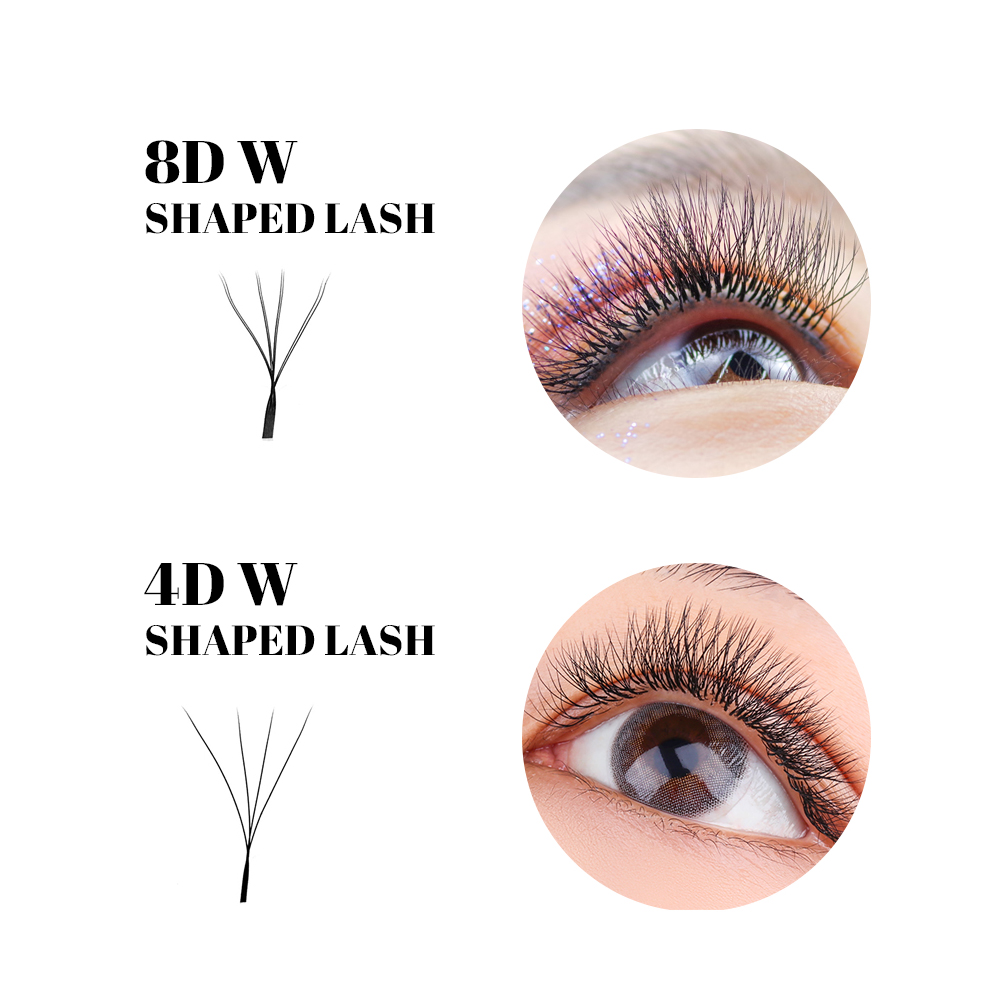 رموش FADVAN على شكل W مزدوجة ا - مراجعة Eyelash Extension Fan وسعره
