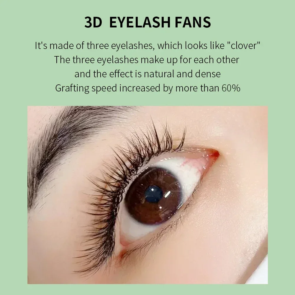 GLAMLASH ثلاثية الأبعاد ث ثلاث - مراجعة Eyelash Extension Volume Styles وسعره
